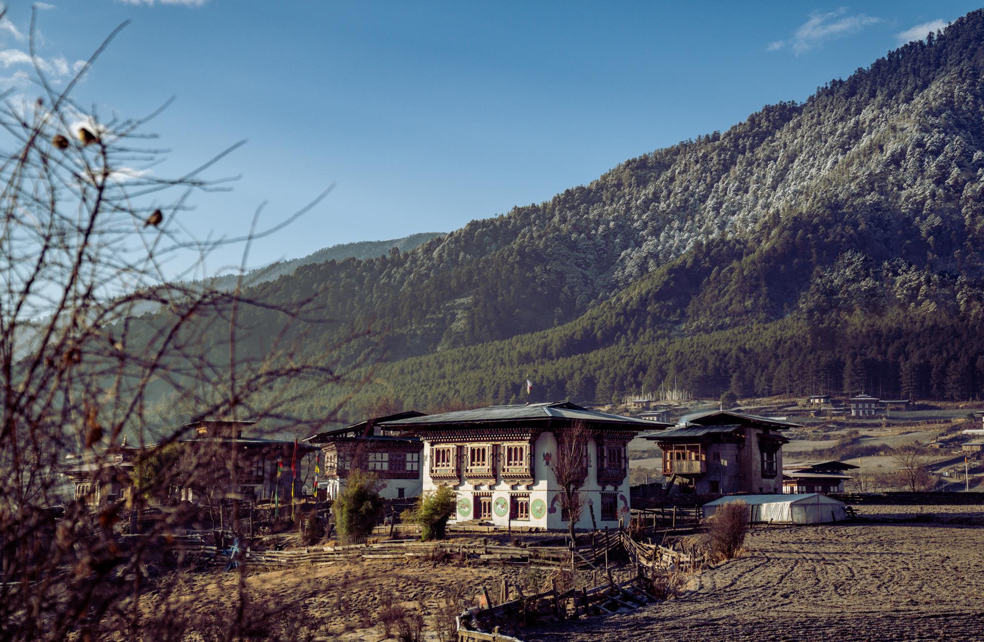 Phobjikha-valley-by-Alicia-Warner-30